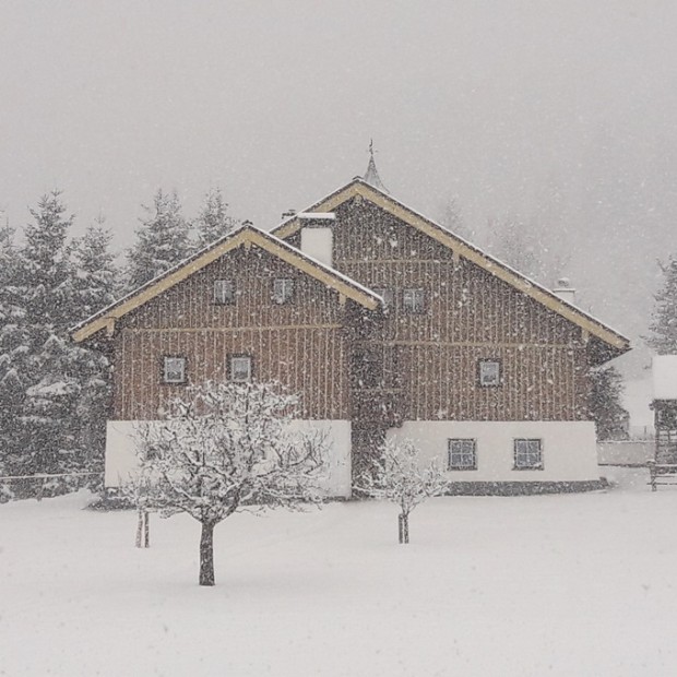 Ferienhaus Schober - Fotograf: Familie Hochwimmer